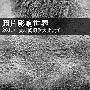 照片影响世界 2011年度新闻摄影大奖赏析