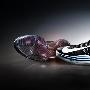 耐克发布新的篮球和训练鞋款及对应的 Nike+ 应用软件