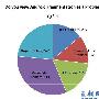 86%开发者:安卓存在严重版本分裂问题