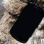 谷歌新旗舰10月发布 对垒苹果iPhone5