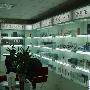 臻臻至至-IT明星店推荐之济南臻联科技