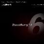 BlackBerry 6不革命 黑莓9800评测
