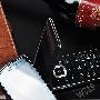 双网双待系列 三星W609/W319图赏