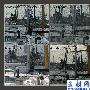 GALAXY SII/N8/2X/iPhone4拍照大乱斗