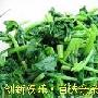 菜中不可忽视的有害物-亲亲我健康