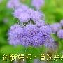 春天里应该注意什么？-搜狐健康