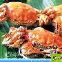 美食：金秋--上海美食万般风情