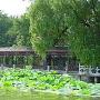 休闲：中国五大城市玩乐排行榜