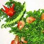 泡温泉 赏诱人野菜宴