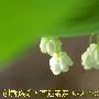 夏季防痒10大妙招(图)-亲亲我健康