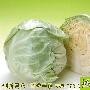 增强记忆最有效的食物-亲亲我健康