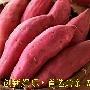 秋补推荐选用四种素食