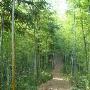 木坑竹海景区介绍