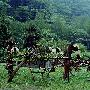 卧龙自然保护区景区介绍