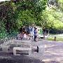 白莲洞公园景区介绍