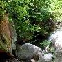 大龙山景区介绍