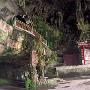 凌云水源洞景区介绍
