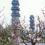 水西双塔景区介绍