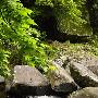 白云飞瀑景区介绍