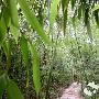 日照竹洞天景区介绍