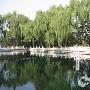 珍珠泉泉群景区介绍
