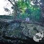 十万大山国家森林公园景区介绍