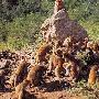 太行山猕猴自然保护区景区介绍