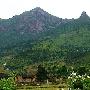 阳岭森林公园景区介绍