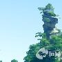 大鲵国家级自然保护区景区介绍