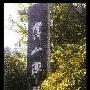 傅山碑林景区介绍