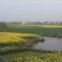 长青沙岛景区介绍