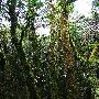 磨盘山景区介绍