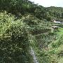 龙泉青瓷窑址景区介绍