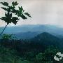 雨母山景区介绍
