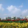 亚洲(澳门)国际公开大学景区介绍