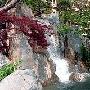 摩纳哥日本式园林公园景区介绍