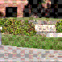 加州大学洛杉矶分校景区介绍