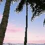威基基海滩景区介绍