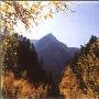 北山国家森林公园景区介绍