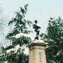 镇江伯先公园景区介绍