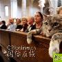 你的眼神，在说什么？(趣味动物组图) 动物世界