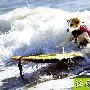 美国4岁小狗爱冲浪自己泡沫冲浪___宠物 动物世界