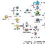 勇者斗恶龙怪兽篇 树状图