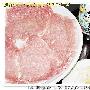 招牌菜：越式烤猪排