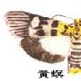 黄螟的简单小知识