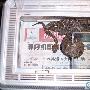 中介蝮的简单介绍