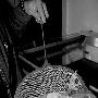 奇怪虫子咬死金鱼