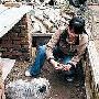 市民为流浪狗求助募三千
