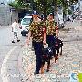 严打两抢一盗请来猛犬助阵