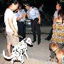 北京警方开始突查违规养犬行为